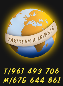 Logo taxidermia LEVANTE